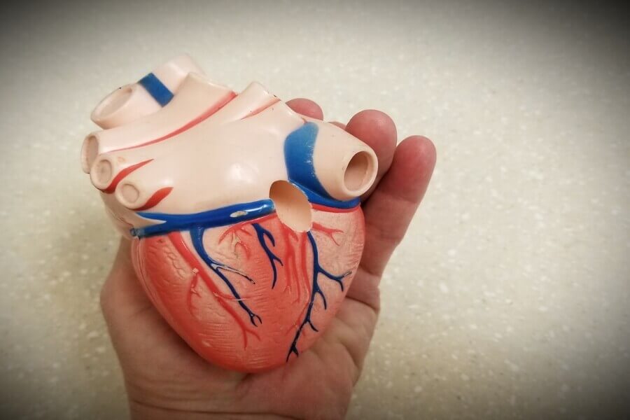 ¿Qué Es Un Corazón Vagotónico?